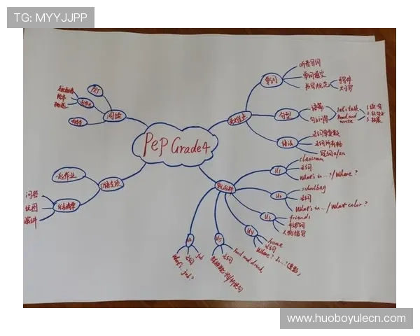 解决M8体育全站登录遇到的常见问题与应对方案